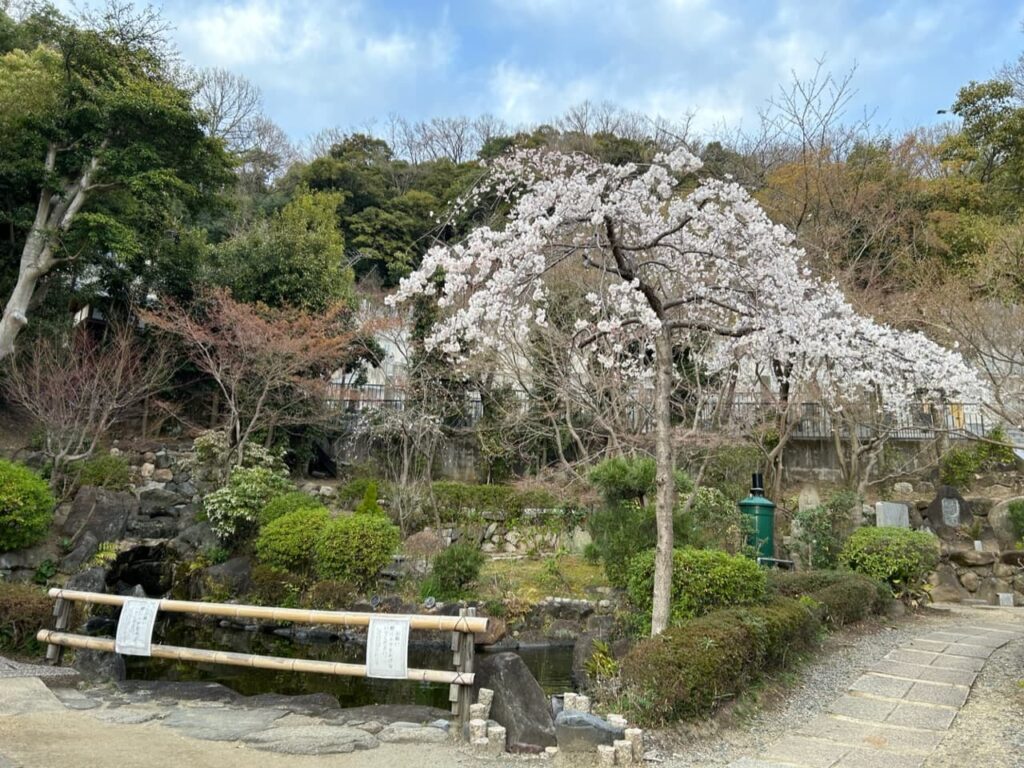 【縁結び・安産・子授け】女性やファミリーに人気「野崎観音」｜素晴らしい景観で観光としてもオススメ！