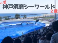 【体験レポ】日本で3カ所目のシャチがいる水族館「神戸須磨シーワールド」2歳児連れ【要注意ポイントあり】