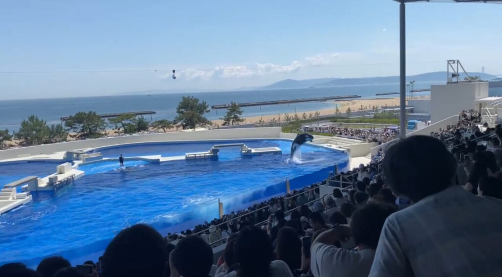 【体験レポ】日本で3カ所目のシャチがいる水族館「神戸須磨シーワールド」2歳児連れ【要注意ポイントあり】