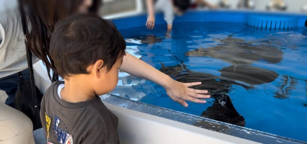 【体験レポ】日本で3カ所目のシャチがいる水族館「神戸須磨シーワールド」2歳児連れ【要注意ポイントあり】